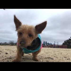 Meet your Posher, Lola